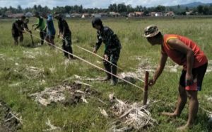 Korem 071/Wijayakusuma Manfaatkan Lahan Tanam Pisang