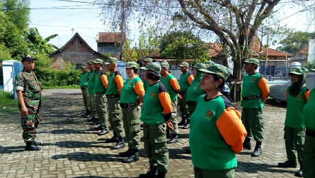 Babinsa Nambangan Kidul Latih PBB Anggota Linmas