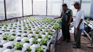 Serka Manut Pantau Ketahanan Pangan Kelurahan Gunung Sahari