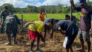 Satgas Yonif 143/TWEJ Ajak Warga Perbatasan Papua Bertani Manfaatkan Lahan Tidur 