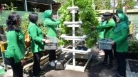 Persit Kodim 0501/JP Panen Ikan dan Sayuran Hidroponik