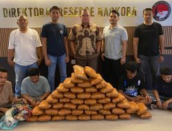 Polisi Tangkap 4 Tersangka, Gagalkan Peredaran Ganja 47 Kg di Sumbar