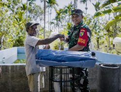 Satgas TMMD Kodim 1710/Mimika Berikan Bantuan Kolam dan Bibit Lele