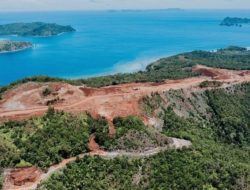 Sekjen Peradi Bersatu Minta Publik Tidak Skeptis terhadap Proyek Tambang Nikel Raja Ampat
