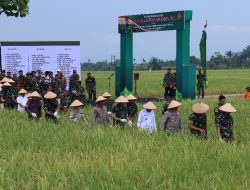 TNI Wujudkan Aksi Nyata, Dukung Ketahanan Pangan Nasional