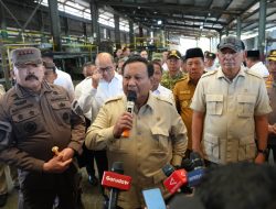 Satgas PKH Kuasai 3,4 Juta Hektare Hutan Ilegal Senilai Rp150 Triliun, Jaksa Agung Lapor ke Presiden Prabowo