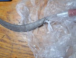 Polisi Tangkap Pelaku Curas Bersenjata Tajam di Ring Road Rawa Buaya