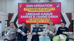 Polda Sumsel Bongkar Ladang Ganja 20 Hektar di Empat Lawang, 220 Kilogram Siap Edar Disita