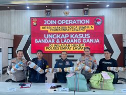 Polda Sumsel Bongkar Ladang Ganja 20 Hektar di Empat Lawang, 220 Kilogram Siap Edar Disita