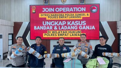 Polda Sumsel Bongkar Ladang Ganja 20 Hektar di Empat Lawang, 220 Kilogram Siap Edar Disita