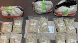 Bareskrim Polri Gagalkan Narkoba Jaringan Malaysia-Riau, Sita Sabu, Ekstasi, dan Etomidate Senilai Rp60,9 Miliar