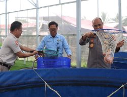 Polda Metro Jaya dan Polres Jakbar Panen 219 Kg Ikan Nila di Greenhouse Palmerah