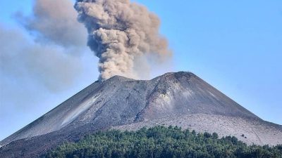 Gunung Anak Krakatau kembali erupsi dan menyemburkan abu vulkanik dengan ketinggian ratusan meter. Foto: Istimewa