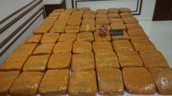 Polda Metro Jaya Ungkap Peredaran 62,5 Kilogram Ganja di Petamburan Jakarta Barat 