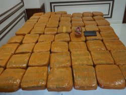 Polda Metro Jaya Ungkap Peredaran 62,5 Kilogram Ganja di Petamburan Jakarta Barat 