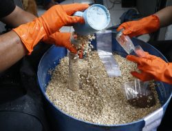 Dari Kedelai Jadi Bekal, Warga Binaan Rutan Cipinang Produksi Tempe