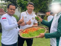 Panen Cabai di Lapas Gunung Sindur: Dari Balik Jeruji, Warga Binaan Didorong Jadi Petani Mandiri