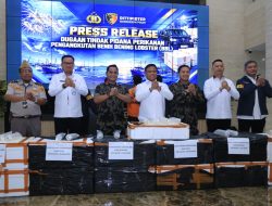 Bareskrim Gagalkan Penyelundupan Baby Lobster Rp5,8 Miliar, 9 Pengiriman Diduga Lolos