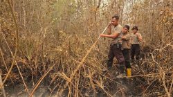 Satbrimob Polda Kalteng Terus Lakukan Pembasahan Karhutla di Banturung