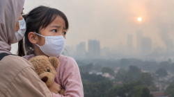 IDAI Minta Perlindungan Maksimal bagi Anak dari Dampak Asap Karhutla