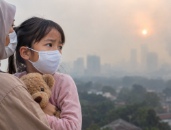 IDAI Minta Perlindungan Maksimal bagi Anak dari Dampak Asap Karhutla